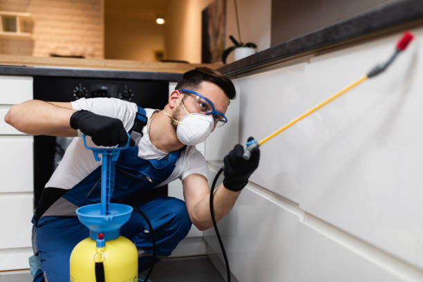 Best Commercial Pest Control Services  in Affton, MO