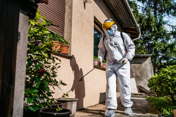 Best Pest Prevention Services  in Affton, MO