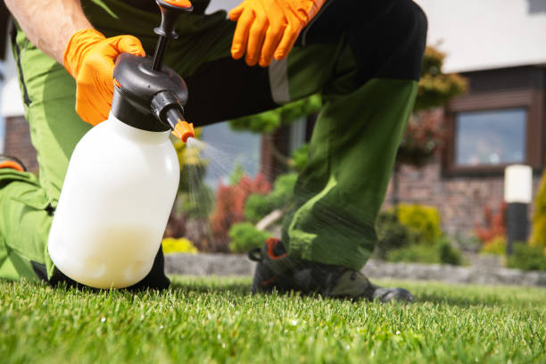 Best Pest Control Near Me in Affton, MO