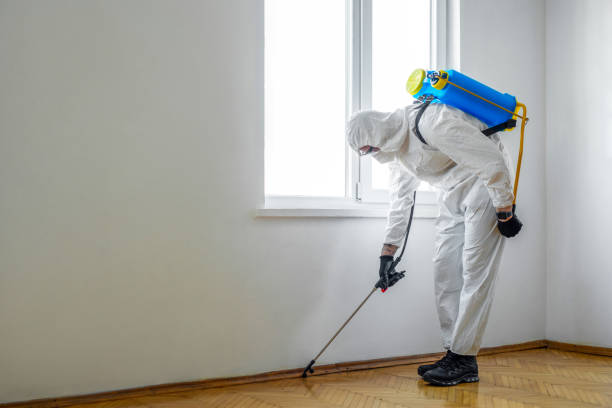 Best Wildlife Control Services  in Affton, MO