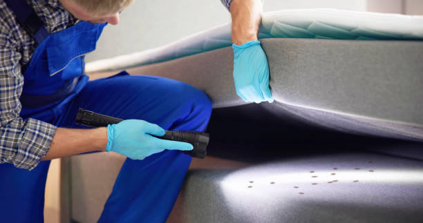 Best Pest Removal Services  in Affton, MO
