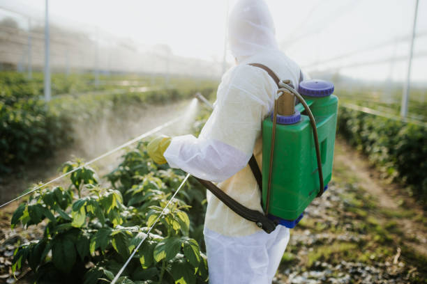 Best Pest Removal Services  in Affton, MO
